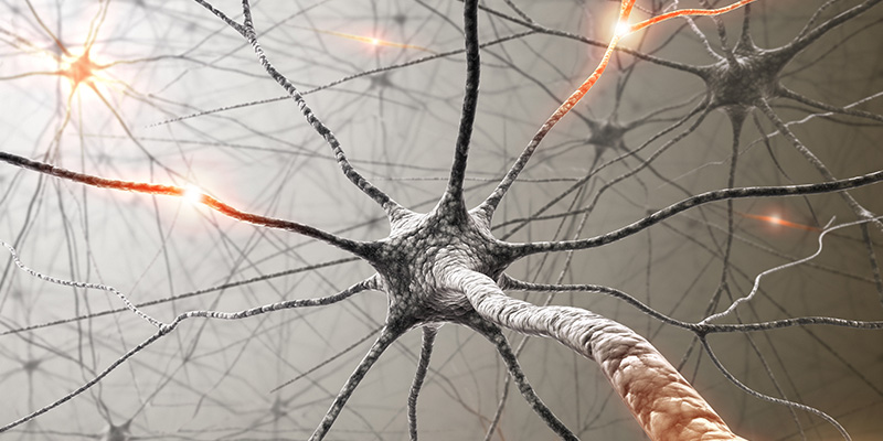 Esercizio terapeutico esercizio-terapeutico-ipoalgesia