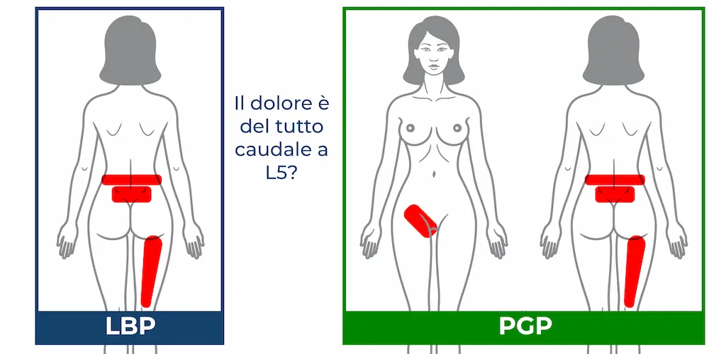 Mal di schiena in gravidanza gravidanza-dolore-schiena